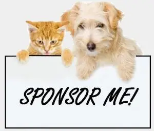 find sponsor for a dog