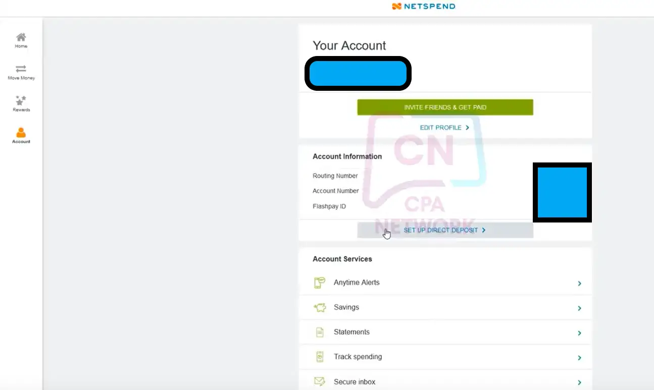 netspend check statements
