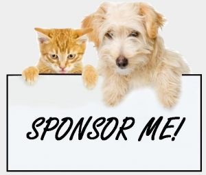 find sponsor for a dog