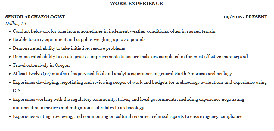 archaeology cv Work Experience