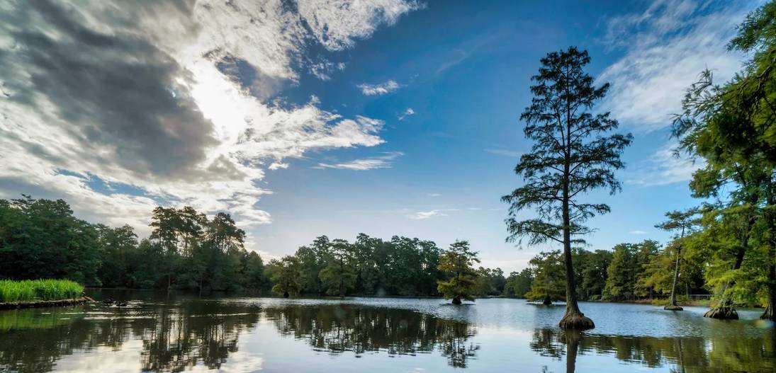 Sumter County nature